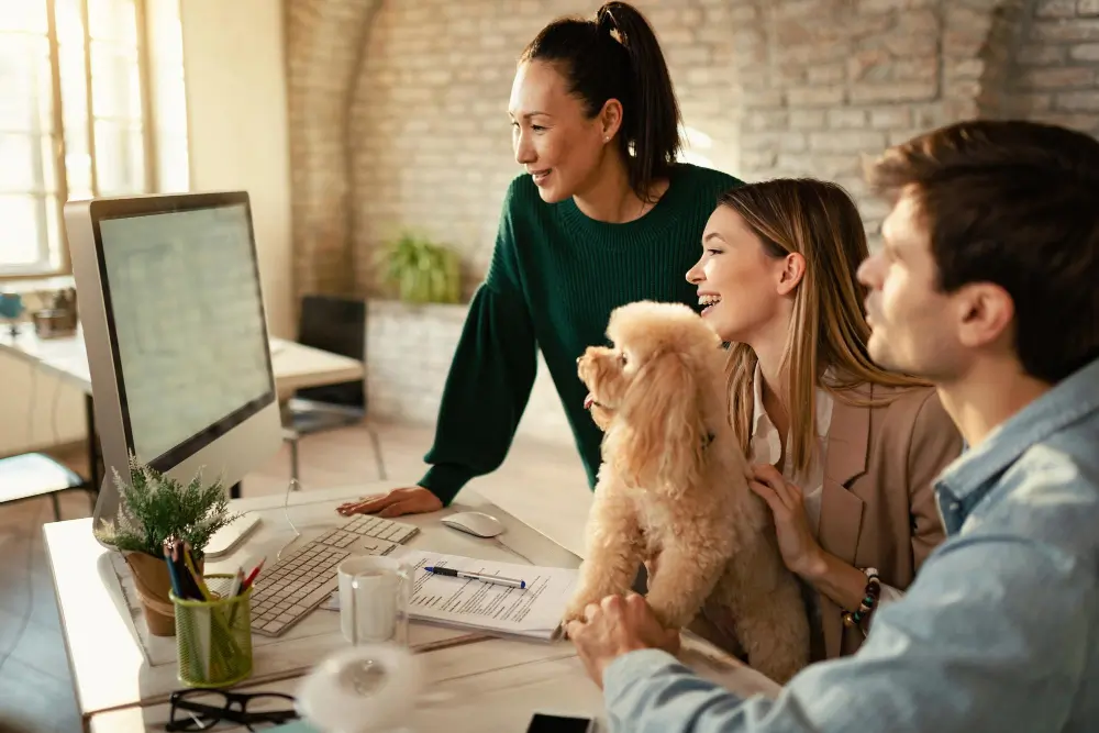 Whitepaper Waardevolle content creeren | 2xCeed sales, marketing & IT
